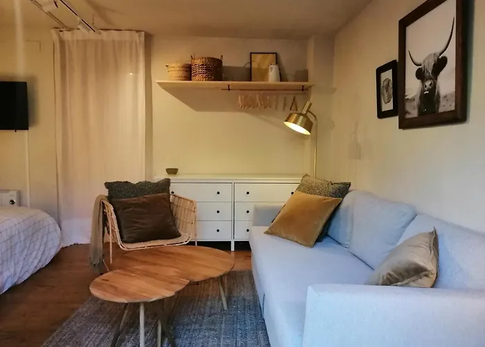 Acogedor Estudio Con Terraza Besiberri 4